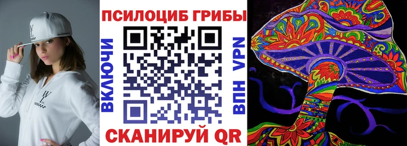 Псилоцибиновые грибы Psilocybine cubensis блэк спрут tor Курганинск